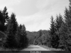 thumbs picture 029 Rosia Montana in imagini