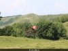 thumbs picture 046 Rosia Montana in imagini