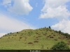 thumbs picture 064 Rosia Montana in imagini