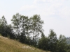 thumbs picture 093 Rosia Montana in imagini
