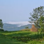DSC_8463 DSC 8463 150x150 Undei asta?