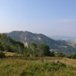DSC_8469 DSC 8469 150x150 Undei asta?