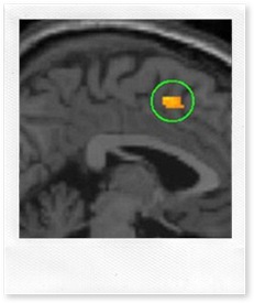 Cercetatorii japonezi au identificat centrul din creier responsabil pentru sentimentele de gelozie, anunta presa britanica. Cercetatorii japonezi au identificat centrul din creier responsabil pentru sentimentele de gelozie, anunta presa britanica.