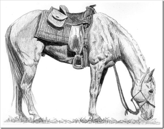 Paste fericit! ... calu' Paste fericit! ... calu'