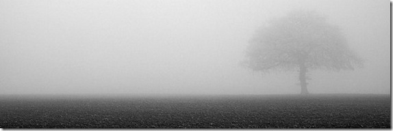 romania_azi romania_azi