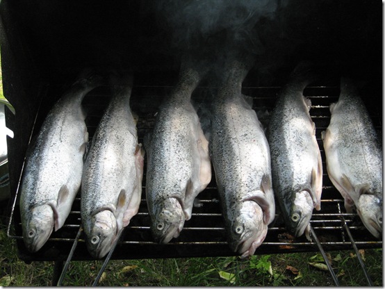 pastrav pe gratar pastrav pe gratar