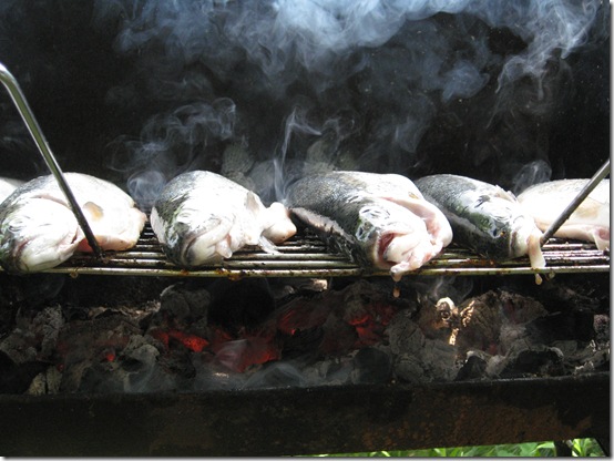 pastrav pe gratar pastrav pe gratar