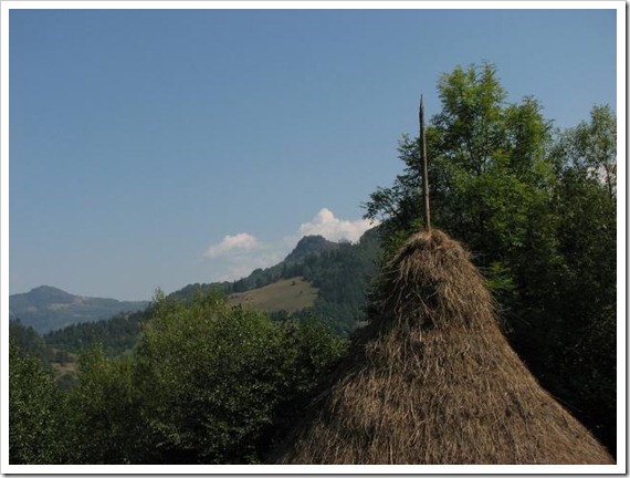 claie de fan claie de fan