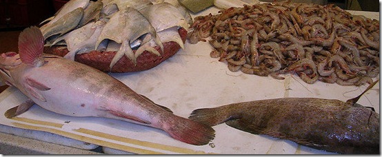 fish market fish market