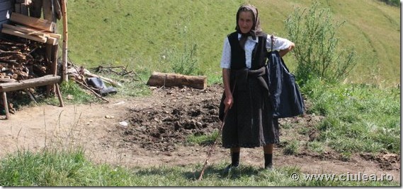 vacanta la tara vacanta la tara