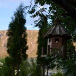 .... cuibusor de nebunii