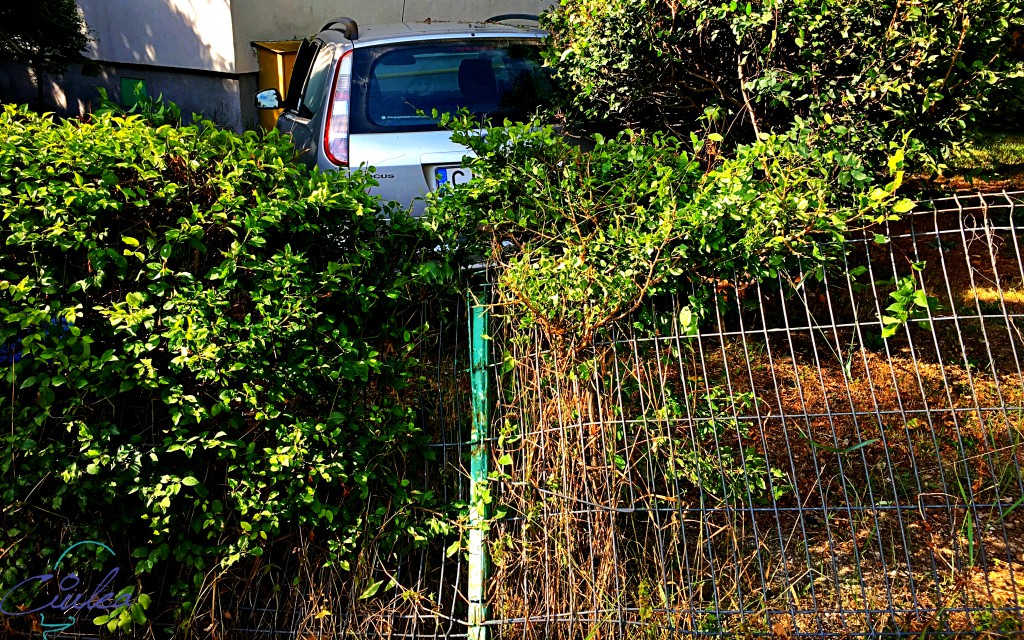 Accident Pasteur colț cu Viilor aproape de racodul de gaz al blocului