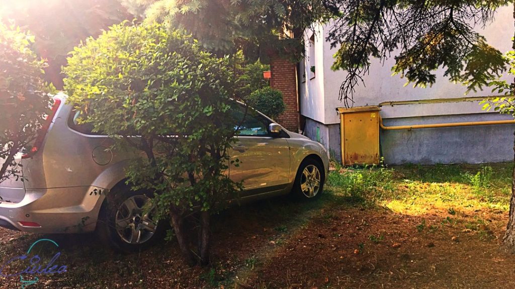 Accident Viilor colț cu Pasteur - Cluj-Napoca