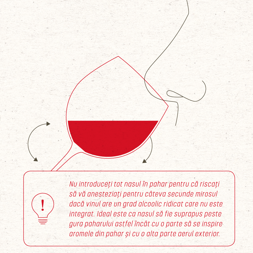 WineUP Fair in Transylvania | 4 - 6 mai 2018 | Muzeul de Artă | Palatul Banffy