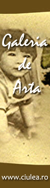 Talente in Noapte: Galeria de Arta Talente in Noapte: Galeria de Arta