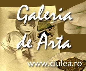 Talente in Noapte: Galeria de Arta Talente in Noapte: Galeria de Arta